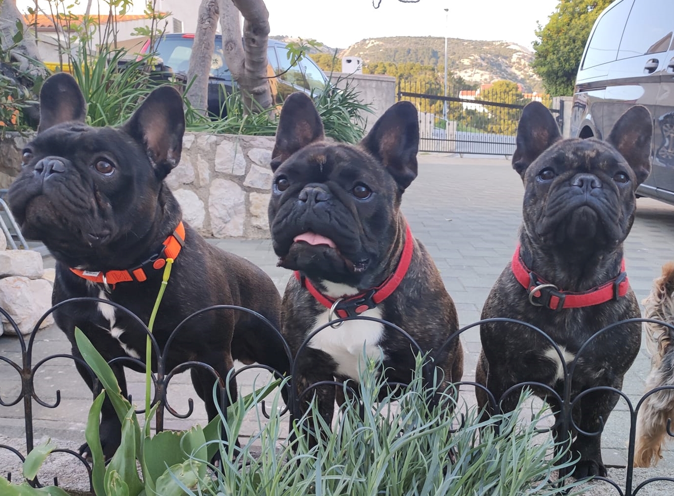 278662671_10158218144841792_1073999982123491487_n (1).jpg